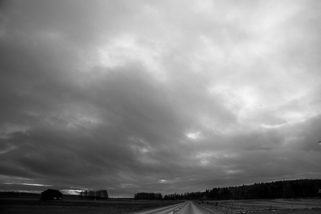 LandscapeBW_ThereseHolm
